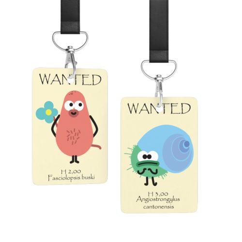 Realistic ID Cards-1