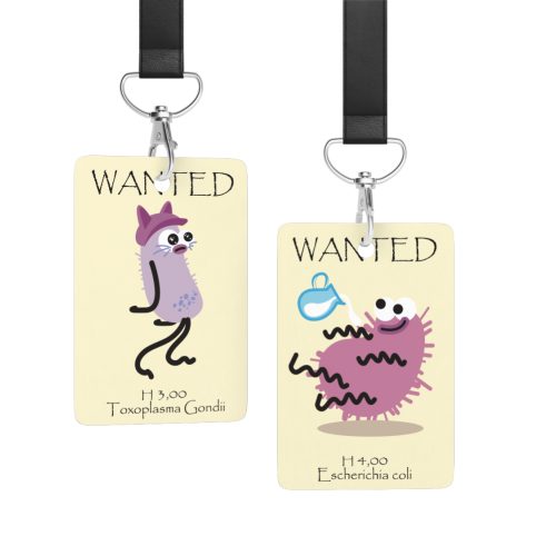 Realistic ID Cards-2